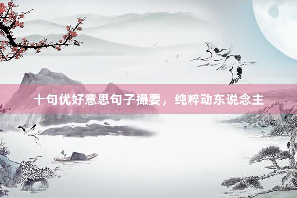 十句优好意思句子撮要，纯粹动东说念主