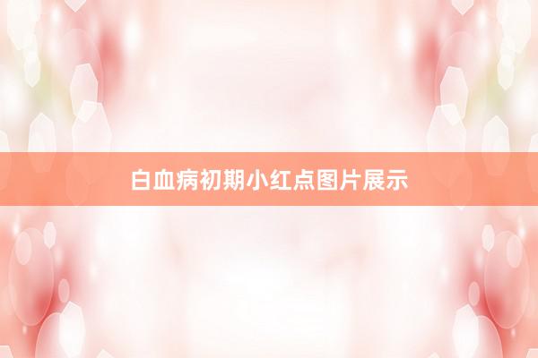 白血病初期小红点图片展示